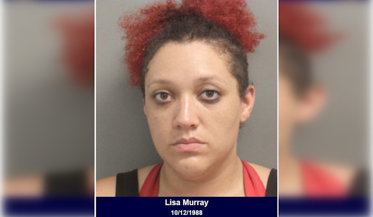 Houston Authorities Arrest Woman Suspected of Theft, Recover Stolen Goods in Harris County