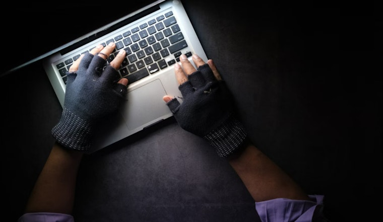Houston Court to Hear Case of Nigerian Man and Accomplice Suspected of $3M Elderly Romance Scam