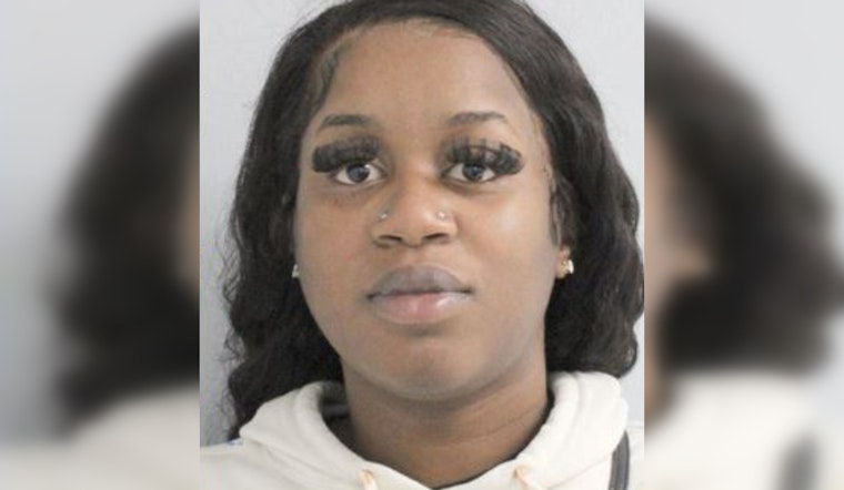Houston Grapples with Rising Real Estate and Identity Fraud, Woman Charged in Multi-State Theft Scheme