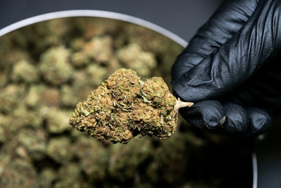 Illinois' Intense Debate Over Hemp Products Leads Des Plaines to Consider Ban