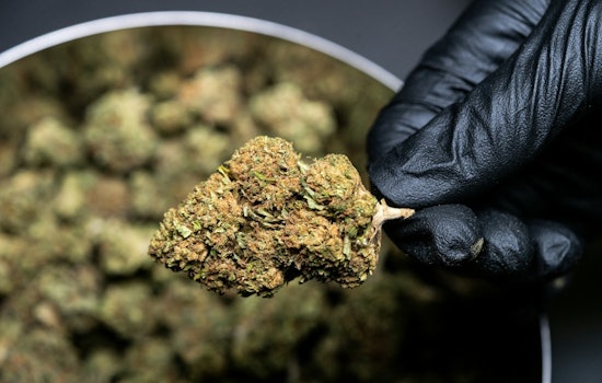 Illinois' Intense Debate Over Hemp Products Leads Des Plaines to Consider Ban