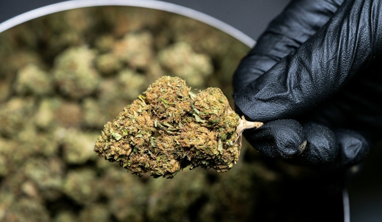 Illinois' Intense Debate Over Hemp Products Leads Des Plaines to Consider Ban