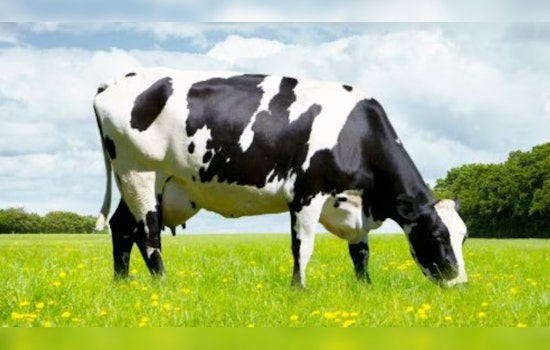 Illinois Steps Up Protective Measures in Response to H5N1 Threat in Dairy Cattle, Despite No Confirmed Cases