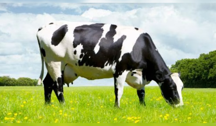 Illinois Steps Up Protective Measures in Response to H5N1 Threat in Dairy Cattle, Despite No Confirmed Cases