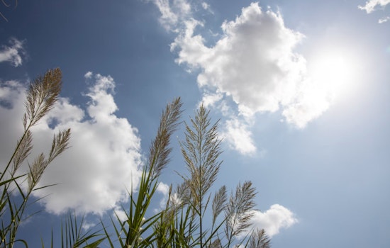 Intermittent Showers and Sunshine to Play Tag in Washington D.C.'s Fickle Weather Forecast