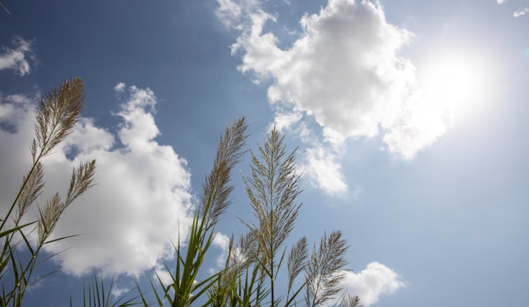 Intermittent Showers and Sunshine to Play Tag in Washington D.C.'s Fickle Weather Forecast