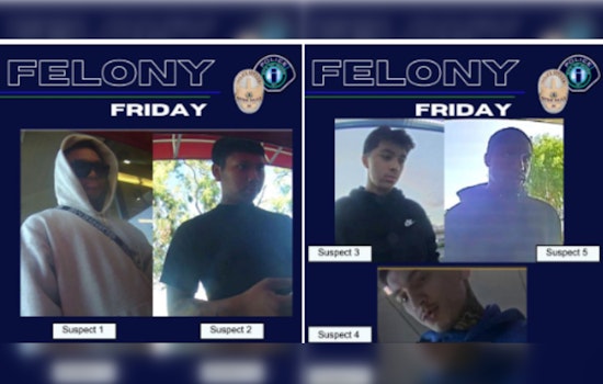 Irvine Police Seek Public’s Help to Capture Five Suspects in $238,000 Mail Theft Case