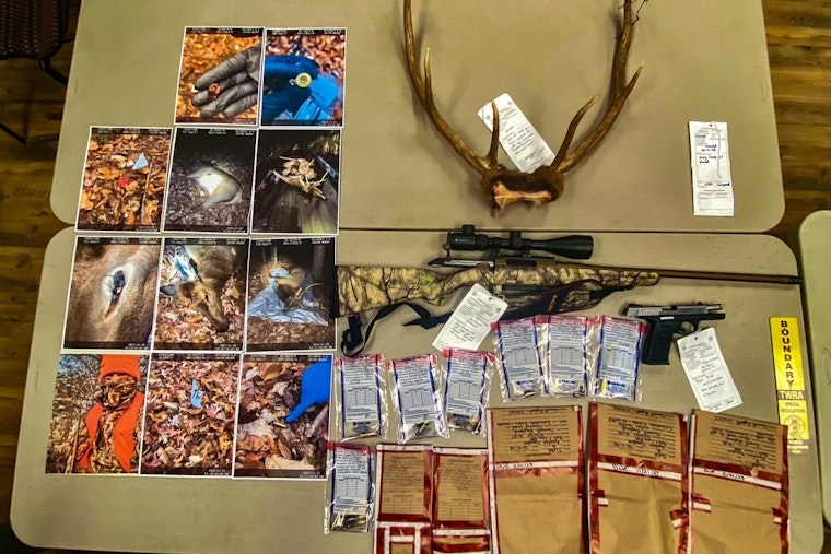 Jacksboro Man Pleads Guilty to Illegal Elk Killings, Receives Hunting Ban and Fines