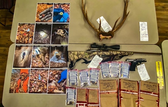 Jacksboro Man Pleads Guilty to Illegal Elk Killings, Receives Hunting Ban and Fines
