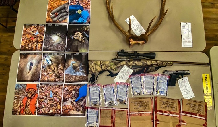 Jacksboro Man Pleads Guilty to Illegal Elk Killings, Receives Hunting Ban and Fines