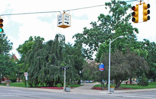 Kalamazoo's DAR Chapter Plants "Liberty Tree" to Sprout New Traditions for America's 250th Anniversary