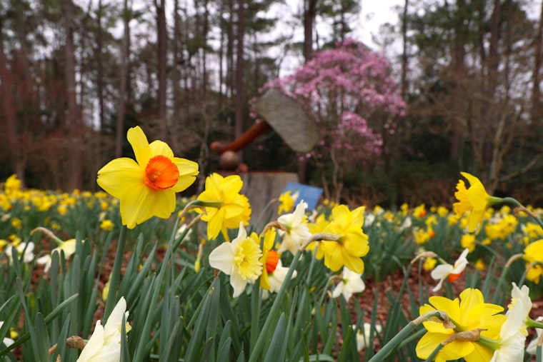  Kennesaw's 'Art Blooms' Showcases Fusion of Spring Flowers and Local Art at Smith-Gilbert Gardens