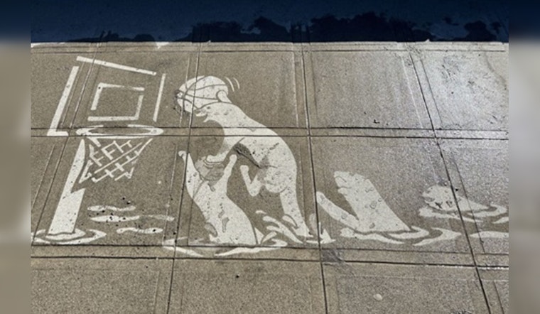 Kirkland's Juanita Beach Park Unveils Rain-Activated Eco-Art in Partnership with Rainworks