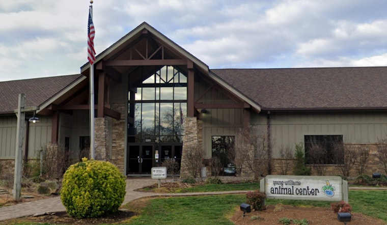 Knoxville Embraces Compassionate Approach as Young-Williams Takes Over Animal Control Services