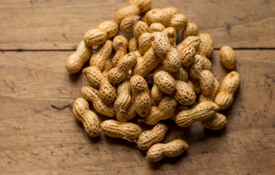 Lake Travis ISD Hit with $1.5 Million Lawsuit Over Unaddressed Peanut Allergy Bullying Incident