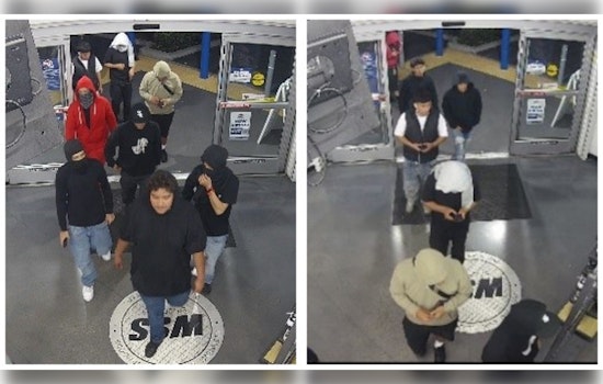 LAPD Seeks Public Aid in Identifying Suspects in Series of Coordinated Los Angeles "Flash Robberies"
