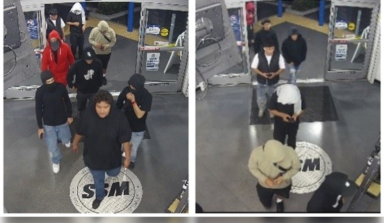 LAPD Seeks Public Aid in Identifying Suspects in Series of Coordinated Los Angeles "Flash Robberies"