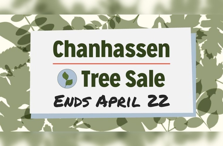 Last Chance for Chanhassen Residents to Embrace Greenery in City's Tree Sale Finale