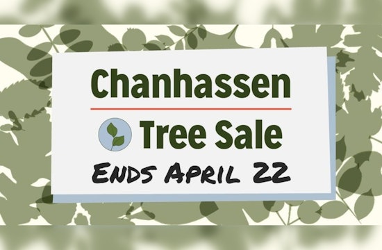 Last Chance for Chanhassen Residents to Embrace Greenery in City's Tree Sale Finale