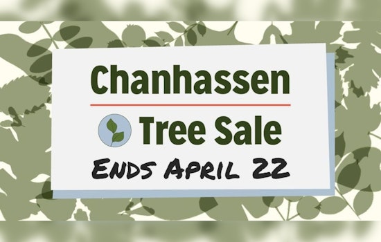 Last Chance for Chanhassen Residents to Embrace Greenery in City's Tree Sale Finale