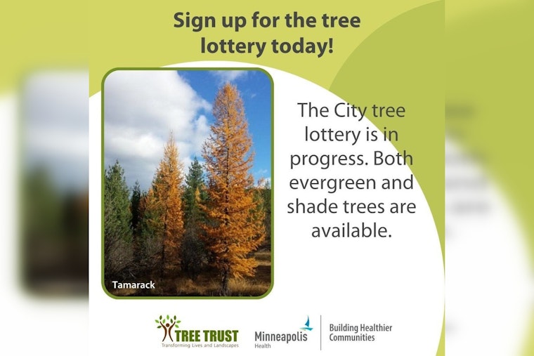 Last Chance to Participate in Minneapolis Tree Lottery - Deadline Tonight