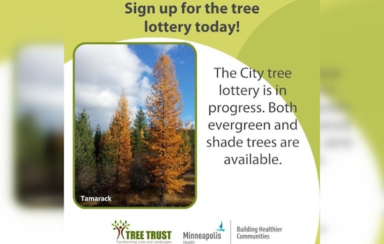 Last Chance to Participate in Minneapolis Tree Lottery - Deadline Tonight