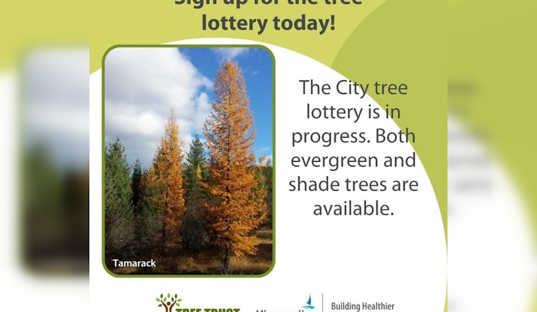 Last Chance to Participate in Minneapolis Tree Lottery - Deadline Tonight
