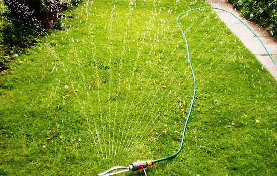Lewisville Sets Daytime Watering Restrictions to Curb Waste During Summer Heatwave