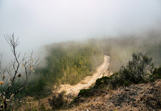Los Angeles Braces for Foggy Mornings and Sunny Afternoons, Highs in the 70s Forecasted