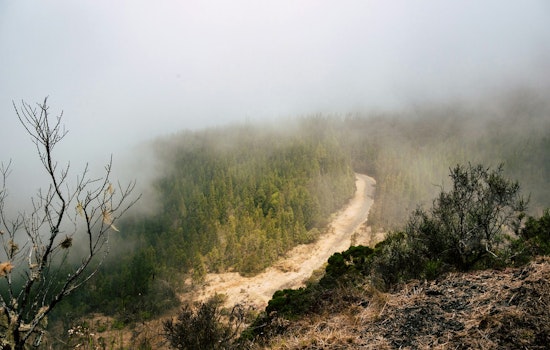 Los Angeles Braces for Foggy Mornings and Sunny Afternoons, Highs in the 70s Forecasted
