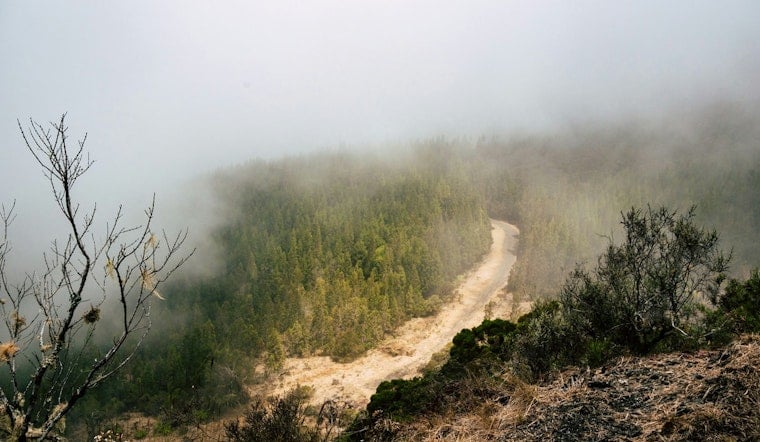Los Angeles Braces for Foggy Mornings and Sunny Afternoons, Highs in the 70s Forecasted