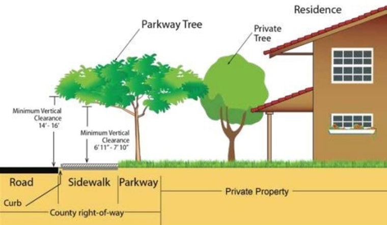 Los Angeles County Offers Free Parkway Tree Planting to Beautify Neighborhoods During Earth Month