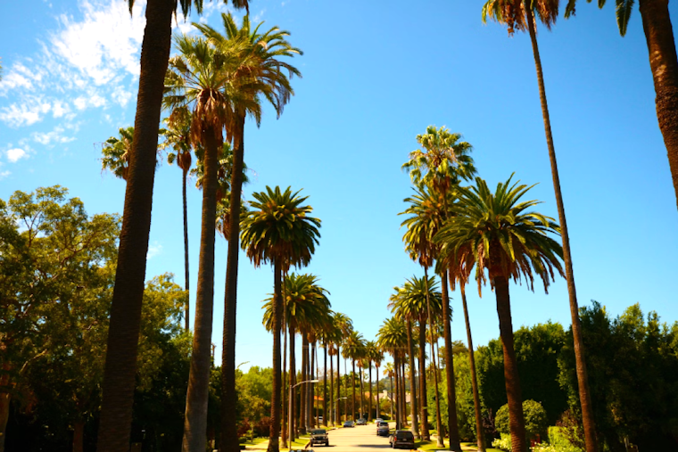 Los Angeles Embraces Week of Sunshine and Mild Winds, Highs in the 70s