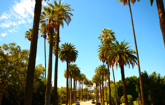 Los Angeles Embraces Week of Sunshine and Mild Winds, Highs in the 70s