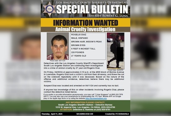 Los Angeles Man Accused of Fatally Abusing Cat, LASD Seeks Public's Help for Possible Additional Victims