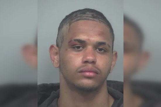 Man Charged with Assault on Officers After Crashing Stolen Vehicle in Gwinnett County