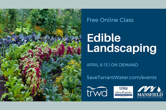 Mansfield Offers Free Edible Landscaping Class to Nourish Sustainable Living in Tarrant County