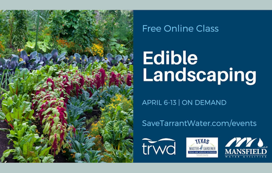 Mansfield Offers Free Edible Landscaping Class to Nourish Sustainable Living in Tarrant County