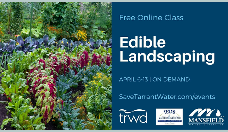 Mansfield Offers Free Edible Landscaping Class to Nourish Sustainable Living in Tarrant County