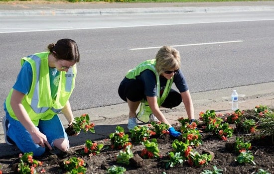 Maple Grove Calls on Community to Beautify Parks and Boulevards in May Volunteer Events