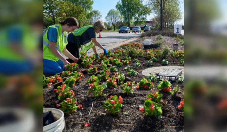 Maple Grove Seeks Volunteers for Annual Boulevard Planting Initiative on May 9 and 11