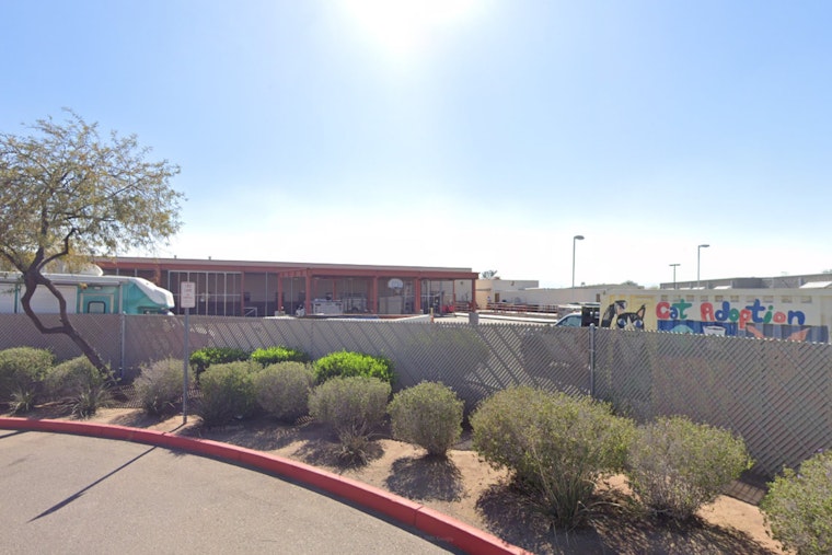 Maricopa County Joins Nationwide "Empty the Shelters" Event with Major Adoption Fee Cuts