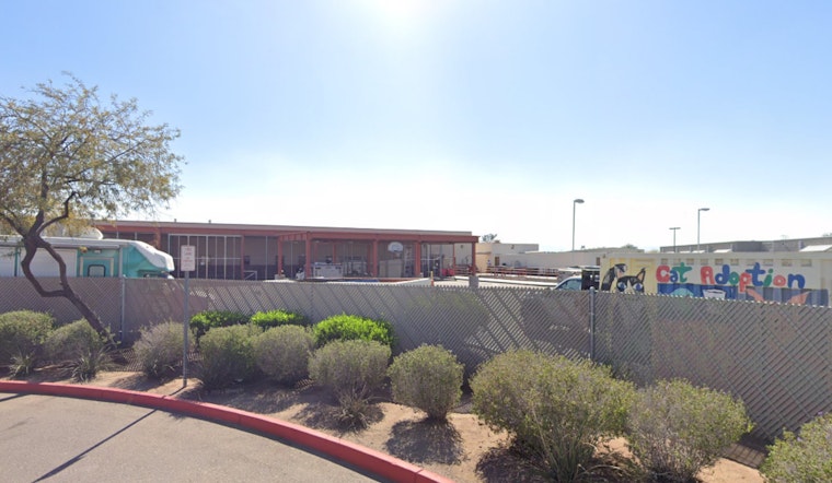 Maricopa County Joins Nationwide "Empty the Shelters" Event with Major Adoption Fee Cuts