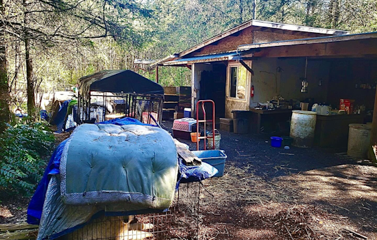 Mason County Sheriff Investigates Major Animal Cruelty Case, Suspect in Custody