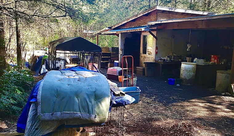 Mason County Sheriff Investigates Major Animal Cruelty Case, Suspect in Custody