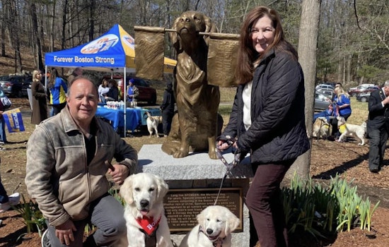 Massachusetts' Ashland Honors Beloved Marathon Dog Spencer with Permanent Statue as Boston Race Approaches