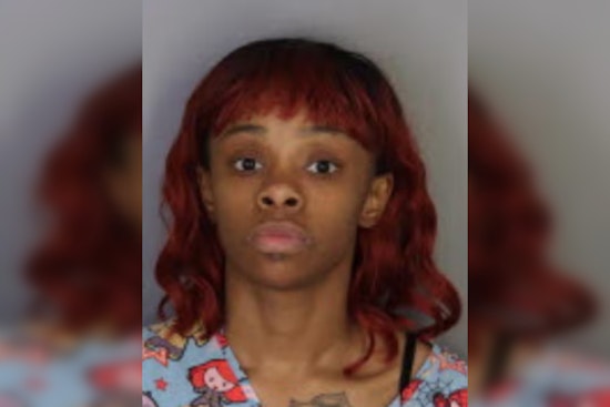 Memphis Mom Hit with Multiple Charges After Son Unleashes Gunfire at Trezevant High School