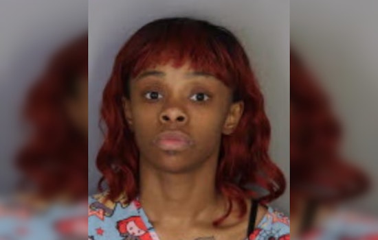 Memphis Mom Hit with Multiple Charges After Son Unleashes Gunfire at Trezevant High School