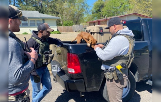 Memphis U.S. Marshals Rescue Malnourished Puppy During Mission, Offer Temporary Foster Care