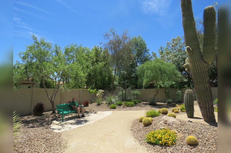 Mesa Rolls Out Incentive Program for Business and Residents to Adopt Water-Saving Landscaping